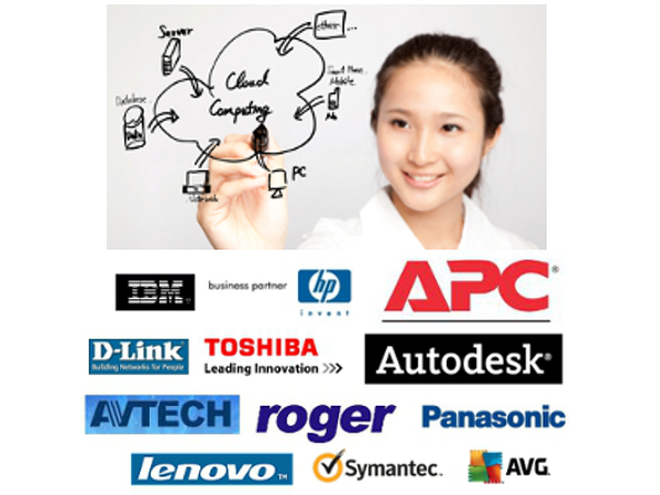 AMC - Services Provided